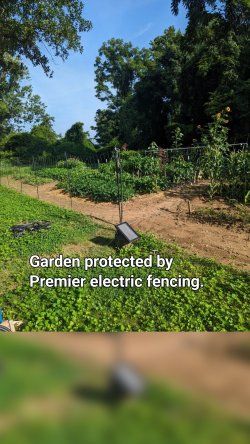Garden protected by Premier electric fencing.